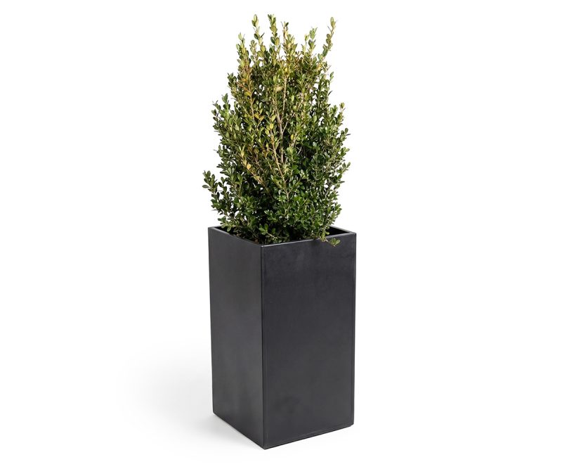Grand Series Planter
