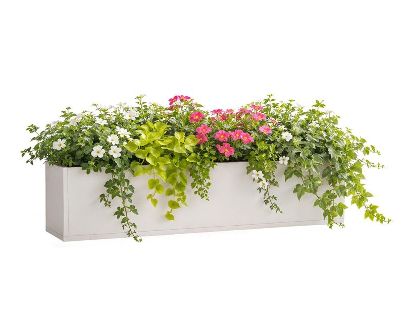 Meadowbox Series Window Box